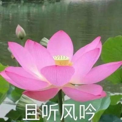 新华社权威快报｜早期现代人——柳江人化石研究新突破